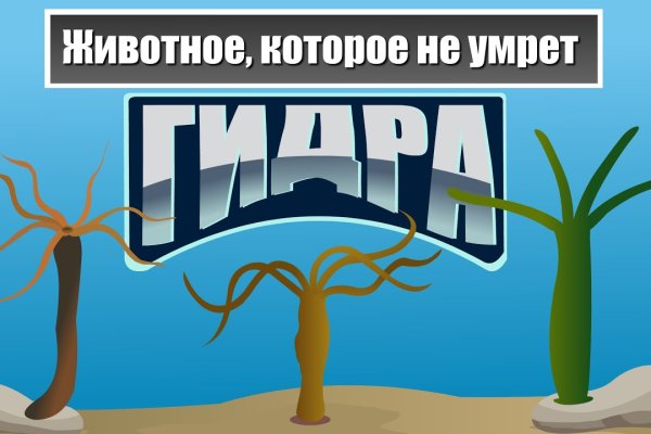 Мега зеркала тор онион мориарти кракен