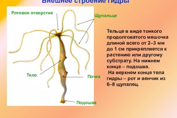 Кракен официальная ссылка зеркало